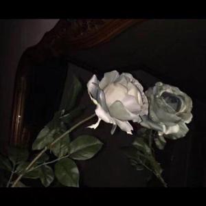 特级大黄AAAAAA片
